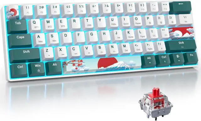 Main image of surmen Wireless Keyboard 60% Gaming Keyboard 60 Percent, Hot Swappable RGB Mini Bluetooth BT5.0/USB-C Mechanical Keyboard with Software for Windows Mac Laptop (Gateron Red, Green 61)