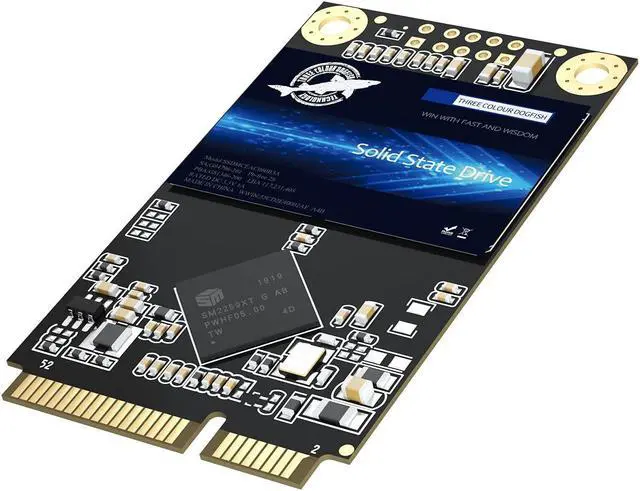 Main image of Dogfish mSATA SSD 240GB 3D NAND TLC SATA III 6 Gb/s, mSATA (30x50.9mm) Internal Solid State Drive - Compatible with Desktop PC Laptop - (MSATA 240GB)