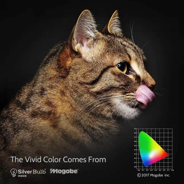 Alt view image 3 of 5 - Mogobe for BL-FP210B/BL-FP210A/SP.70201GC01 Replacement Projector Lamp with Housing for HD28SE DH1021