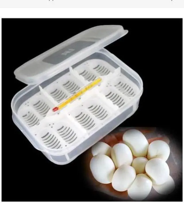 Main image of 12 hole reptile incubator tray incubator