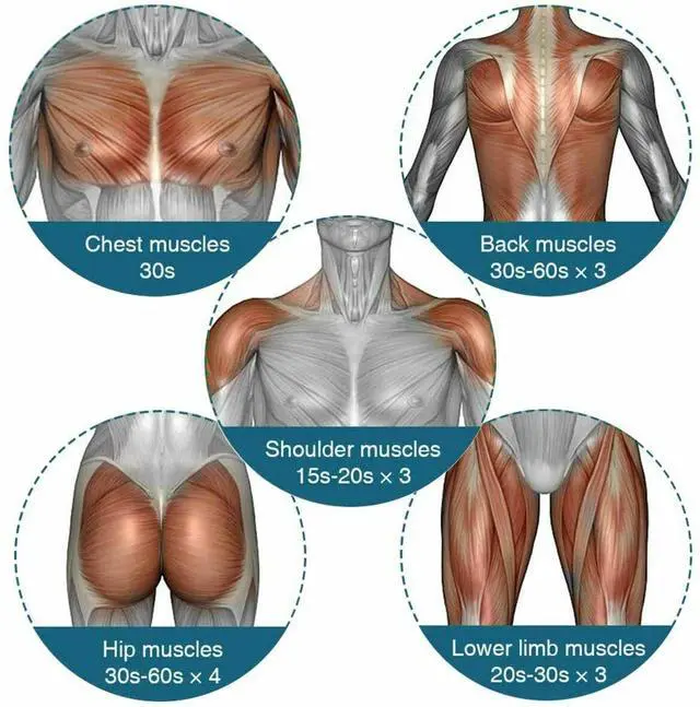 Alt view image 5 of 7 - Massage Gun Percussion Massager Deep Tissue Muscle massage Relaxing + 4 Heads