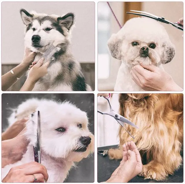 Alt view image 7 of 7 - Pet Dog Grooming Scissors Stainless Straight Curved Thinning Shears Trimmer Kits