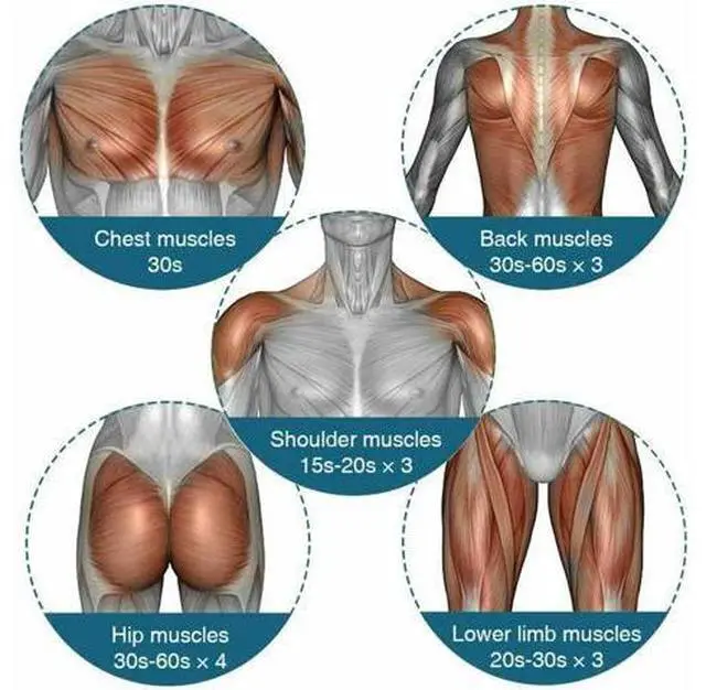 Alt view image 6 of 7 - Massage Gun Percussion Massager Deep Tissue Muscle massage Relaxing + 4 Heads