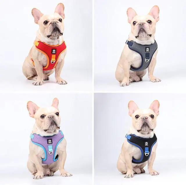 Alt view image 4 of 7 - Adjustable Dog Harness No Pull Reflective Medium Large Dog Harness and Leash Set For French Bulldog Greyhound Walking Running