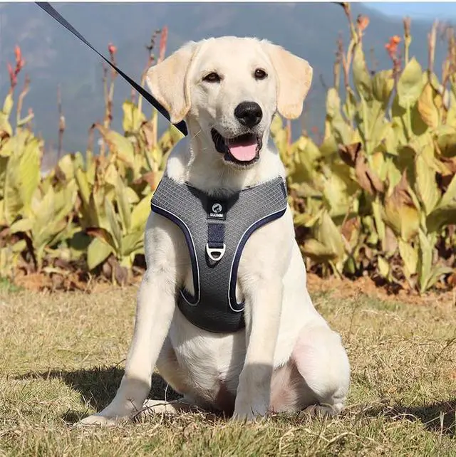 Alt view image 2 of 7 - Adjustable Dog Harness No Pull Reflective Medium Large Dog Harness and Leash Set For French Bulldog Greyhound Walking Running