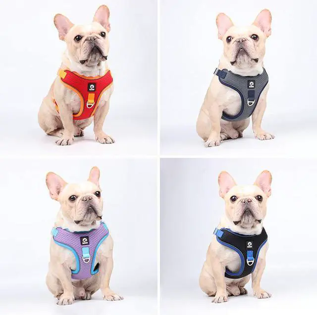 Alt view image 7 of 7 - Adjustable Dog Harness No Pull Reflective Medium Large Dog Harness and Leash Set For French Bulldog Greyhound Walking Running