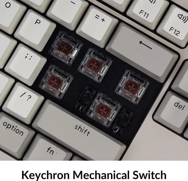 Alt view image 4 of 7 - Keychron C2 Full Size Wired Mechanical Keyboard Compatible with Mac, Keychron Brown Switch, 104 Keys ABS Retro Color Keycaps Gaming Keyboard for Windows, USB-C Type-C Braid Cable