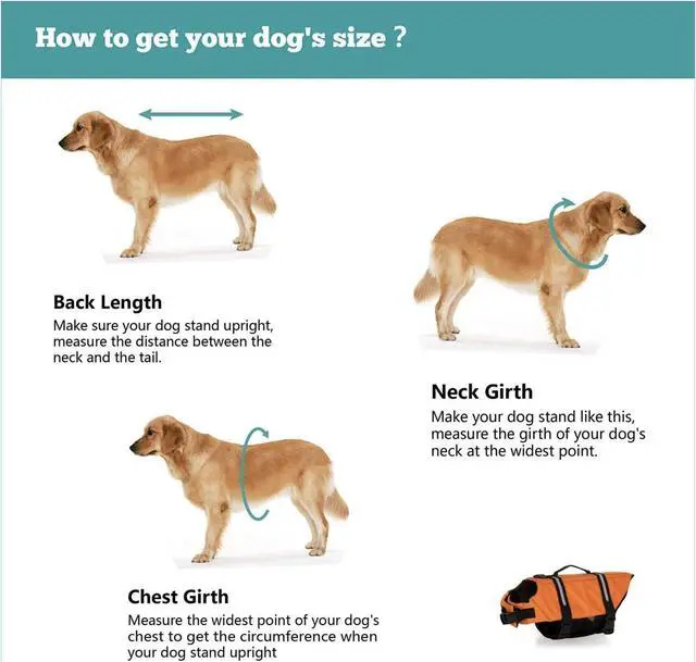 Alt view image 6 of 6 - STIMULA LIFESTYLE SILVER PAW DOG LIFE JACKET FOR POOL, LAKE, OCEAN, RIVER & BEACH SIZE LARGE