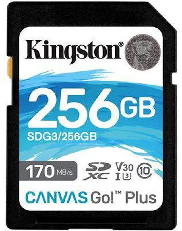 Alt view image 9 of 14 - Kingston Canvas Go! Plus 256 Gb Class 10/Uhs-I (U3) Sdxc