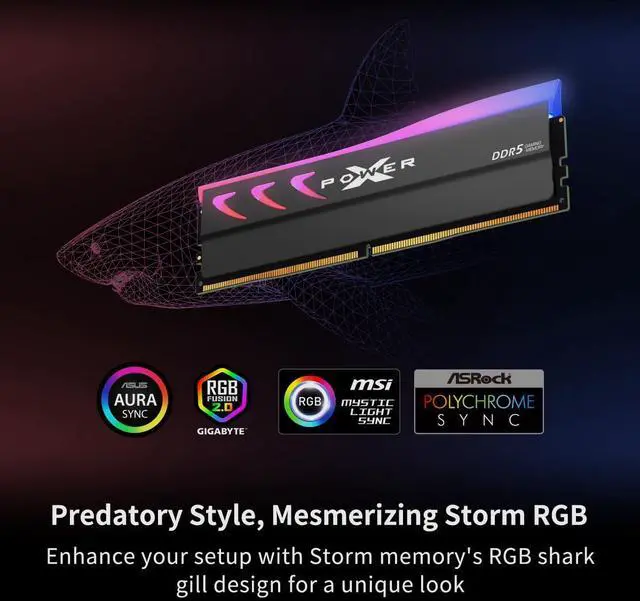 Alt view image 4 of 5 - Silicon Power Storm RGB DDR5 6000MT/s (PC5-48000) CL28 32GB(16GBx2) Dual Pack 1.4V Desktop Unbuffered DIMM SU032GXLWU60DFDLSN
White