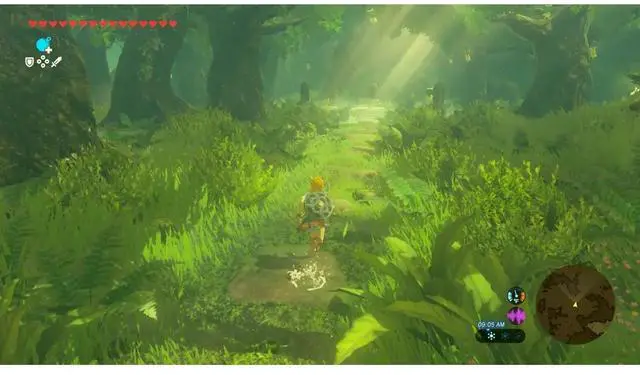 Alt view image 3 of 10 - The Legend of Zelda: Breath of the Wild  Nintendo Switch 2