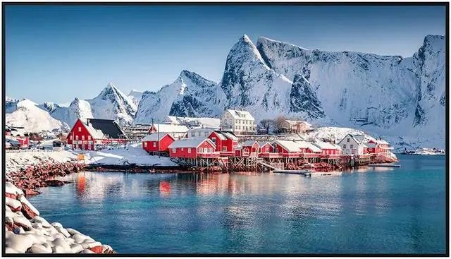 Main image of Panasonic 65-inch Class 4K UHD LCD Display