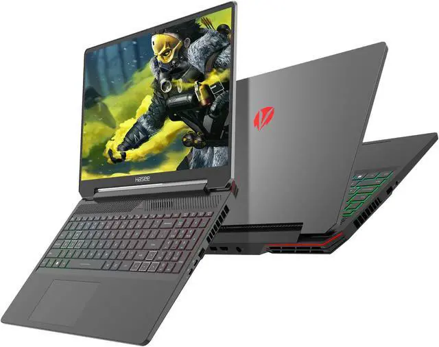 Main image of Hasee T8 (16'', i9-14900HX, RTX4060), Neon Gaming Laptop, i9-14900HX 5.8GHz, 32G (16Gx2) DDR5 5600MHz RAM, 1T PCIe4.0 SSD, RTX4060 8G, 16'' 2.5K 240Hz IPS Display, RGB KB,WF 6E,BT5.3,Win11,Mecha Grey