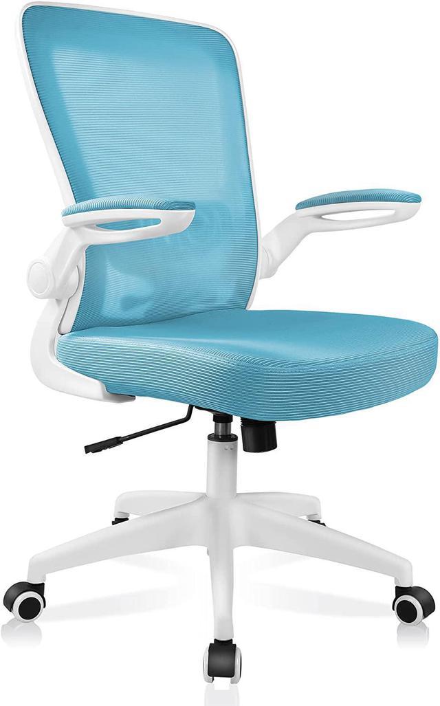  FelixKing Ergonomic Office Chair, Headrest Desk Chair