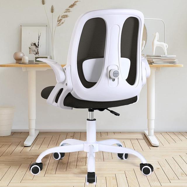 Coolhut Ergonomic Office Chair, Lumbar Support Ergonomic Mesh Desk Chair  with Flip-up Arms (Black)