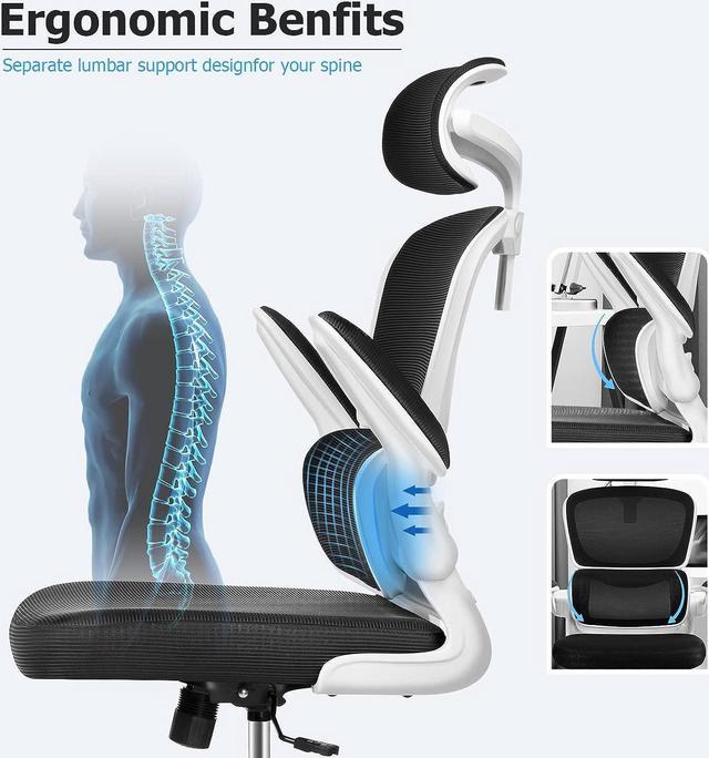 Coolhut Ergonomic Office Chair, Comfort Desk Chair with Adjustable Lumbar  Support and Flip up Arms, 300lb, Black