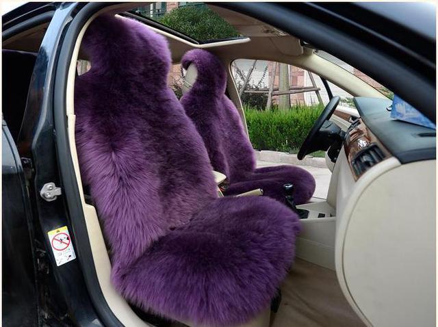 2pcs Plain Fluffy Car Seat Cushion