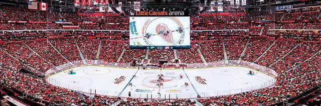 Alt view image 6 of 8 - NHL Detroit Red Wings 1000 Piece Puzzle by Masterpieces Puzzle Co.