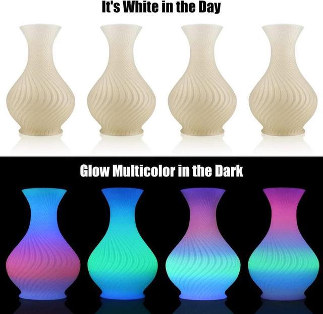 AMOLEN 3D Printer Filament Glow in The Dark Multicolor PLA Filament, 3D  Printing Filament Color Change in 10 Meters, 1KG 