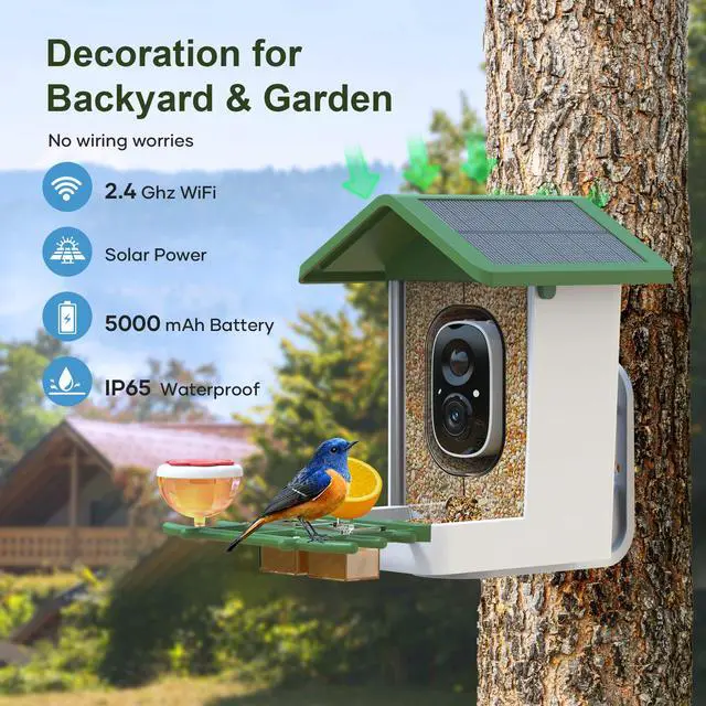 Alt view image 6 of 7 - Smart Bird Feeder with Camera, Solar Powered Birdhouse Camera with AI Bird Recognition, Outdoor Wireless WiFi Bird Feeder with Live Video, Fun Gift for Mom, Grandma, Daughter