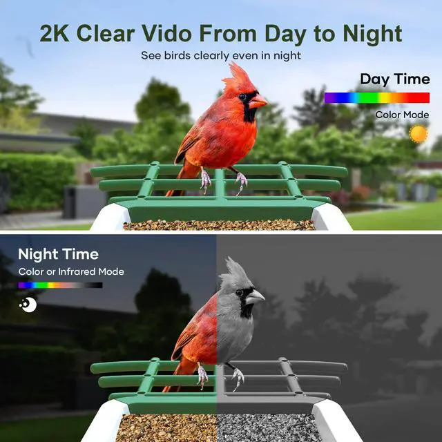 Alt view image 7 of 7 - Smart Bird Feeder with Camera, Solar Powered Birdhouse Camera with AI Bird Recognition, Outdoor Wireless WiFi Bird Feeder with Live Video, Fun Gift for Mom, Grandma, Daughter
