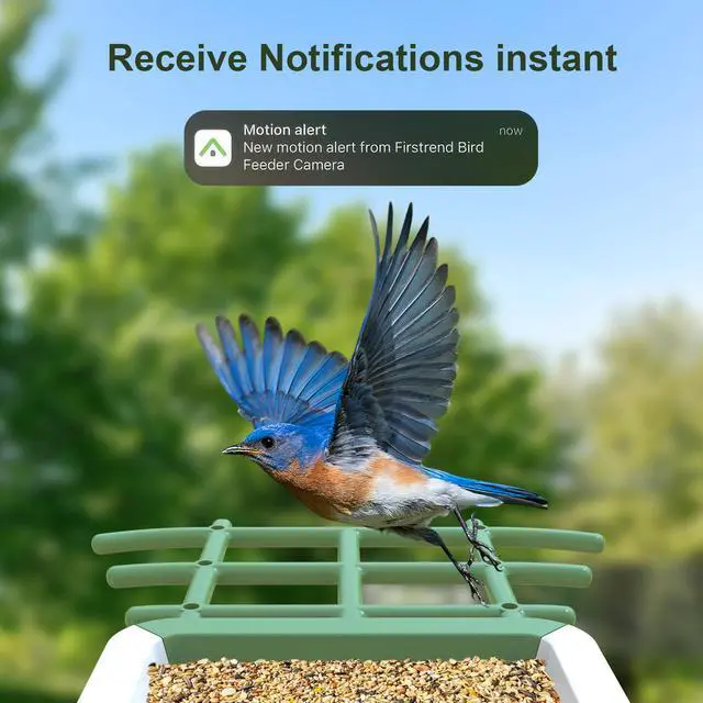 Alt view image 2 of 7 - Smart Bird Feeder with Camera, Solar Powered Birdhouse Camera with AI Bird Recognition, Outdoor Wireless WiFi Bird Feeder with Live Video, Fun Gift for Mom, Grandma, Daughter