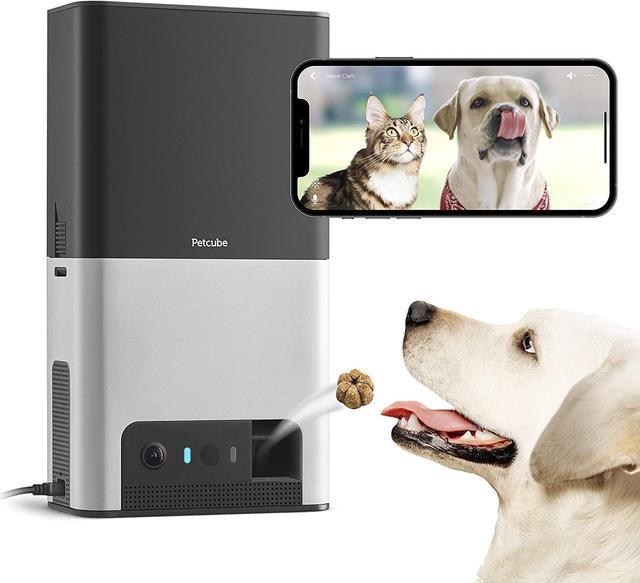 Pet camera and treat dispenser best sale