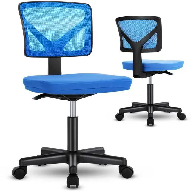 Main image of Sihoo Office Chair