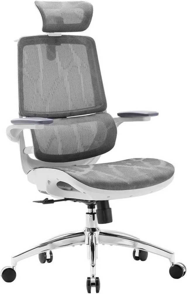 Main image of SIHOO M59AS Ergonomic Office Chair, Computer Chair with 3D Flip-up Armrests, Dual Backrest with Dynamic Adaptive Lumbar Support