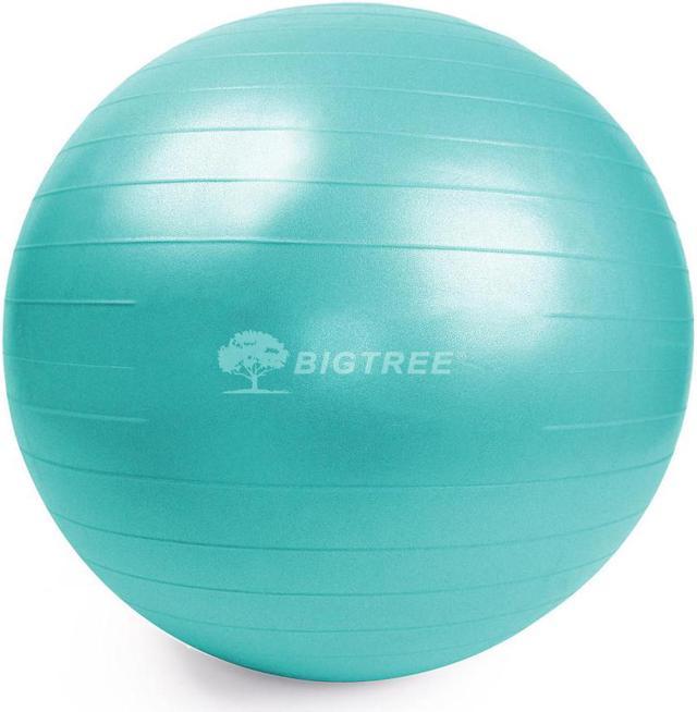 Exercise Ball Yoga Ball – Stability Ball for Home, Gym, Birthing