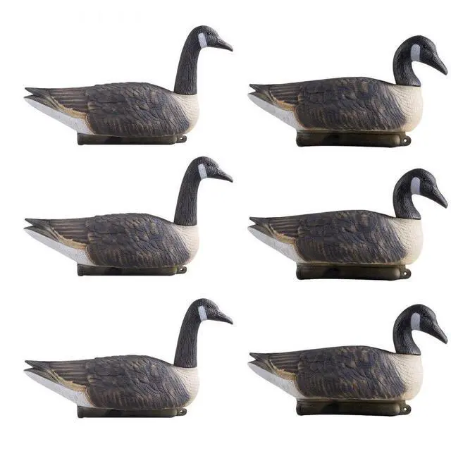 Main image of Canada Goose Decoy Outdoor Goose Floater with Ultra Realistic Paint 6-Pack