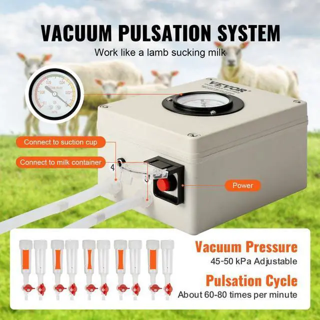 Alt view image 4 of 7 - VEVOR Goat Milking Machine, 6 L 304 Stainless Steel Bucket, Electric Automatic Pulsation Vacuum Milker, Portable Milker with Food-grade Silicone Cups and Tubes, Adjustable Suction for Cows and Sheep