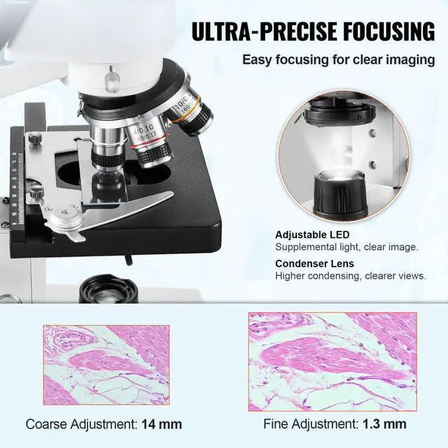 Alt view image 3 of 14 - VEVOR Compound Trinocular Microscope, 40X-5000X Magnification Trinocular Compound Lab Microscope with Two-Layer Mechanical Stage, External Interface, LED Illumination and Microscope Slides Included