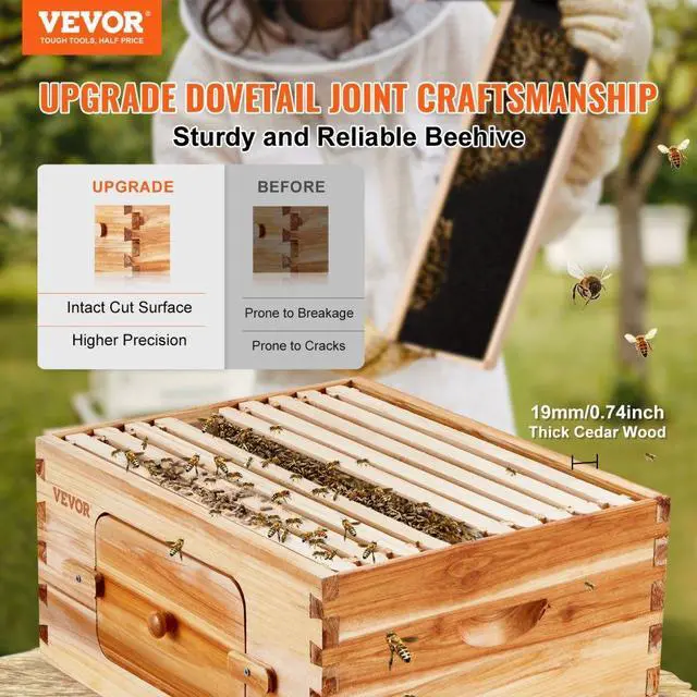 Alt view image 2 of 14 - VEVOR Bee Hive Deep Box Starter Kit, 100% Beeswax Coated Natural Cedar Wood, Langstroth Beehive Kit with 10 Frames and Foundations, Transparent Acrylic Bee Windows for Beginners and Pro Beekeepers