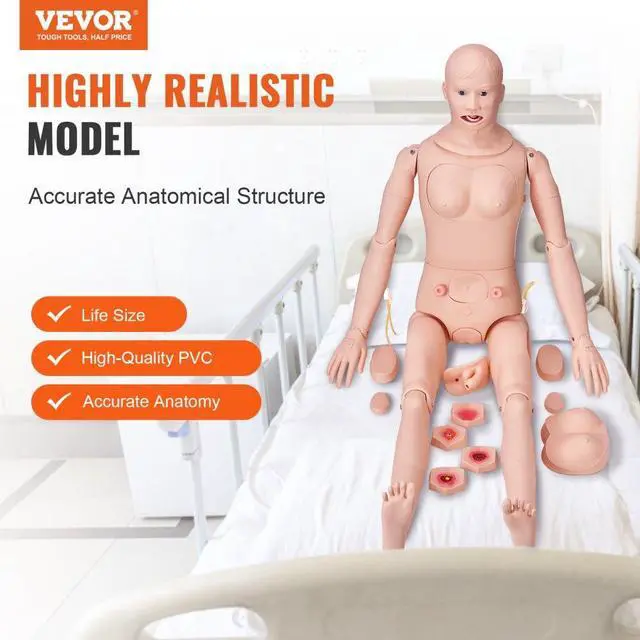 Alt view image 2 of 7 - VEVOR Nursing Training Manikin, Male/Female Life Size Demonstration Human Manikin for Nursing Training, Multifunctional Education Teaching Model, PVC Anatomical Mannequin Body Care Simulator Model