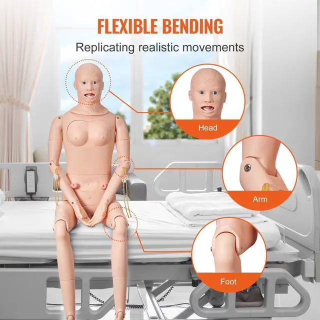 Alt view image 5 of 7 - VEVOR Nursing Training Manikin, Male/Female Life Size Demonstration Human Manikin for Nursing Training, Multifunctional Education Teaching Model, PVC Anatomical Mannequin Body Care Simulator Model