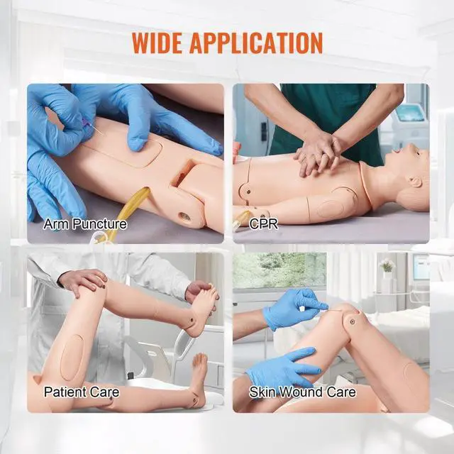 Alt view image 6 of 7 - VEVOR Nursing Training Manikin, Male/Female Life Size Demonstration Human Manikin for Nursing Training, Multifunctional Education Teaching Model, PVC Anatomical Mannequin Body Care Simulator Model