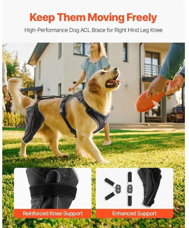 Alt view image 2 of 7 - VEVOR Dog Knee Brace for Right Leg Adjustable ACL Dog Leg Support Brace Pain Relief
