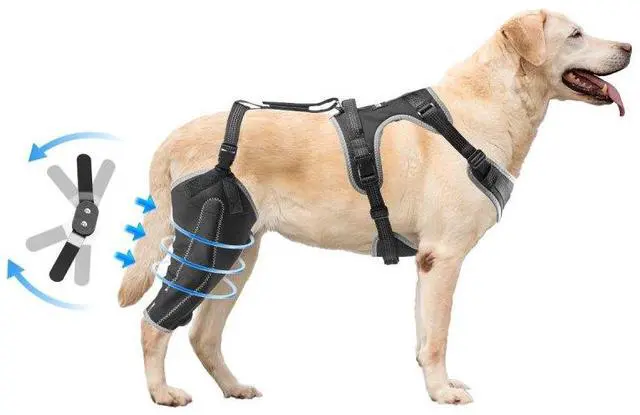 Main image of VEVOR Dog Knee Brace for Right Leg Adjustable ACL Dog Leg Support Brace Pain Relief