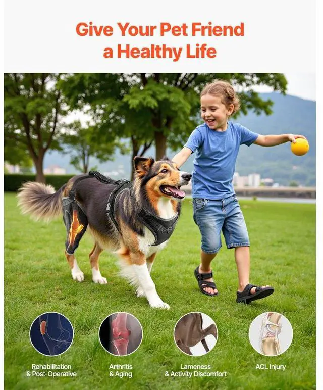 Alt view image 6 of 7 - VEVOR Dog Knee Brace for Right Leg Adjustable ACL Dog Leg Support Brace Pain Relief