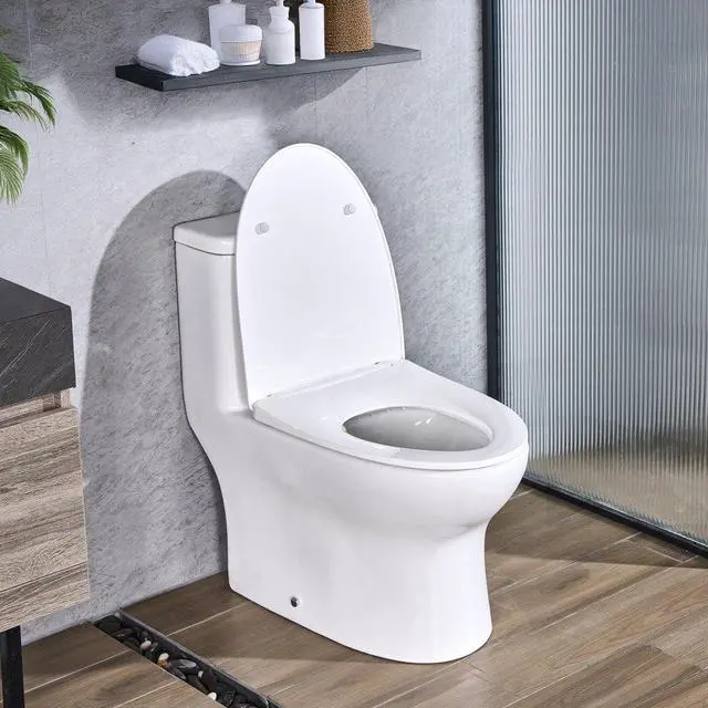 Main image of VEVOR One-Piece Toilet, Elongated Toilet Vortex Dual-Flush 1.0/1.28 GPF, Toilets for Bathroom with Comfortable Chair Seat, Standard Height, 12 inch Rough-In, White + Silver, Easy-Clean Skirted Design