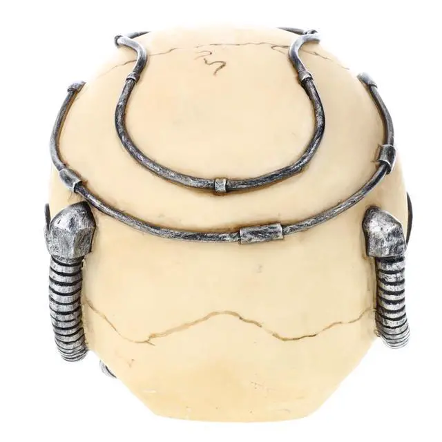 Alt view image 5 of 6 - Steam Punk Mouth Mask Skull