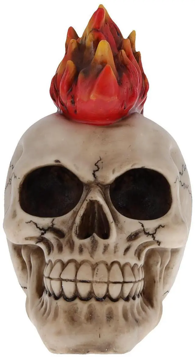 Main image of Skull With Flaming Mohawk