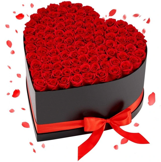 Main image of VEVOR Forever Flowers, 100 Preserved Roses in a Heart Shape Box, Eternal Flowers Immortal Bouquet Birthday Present for Women Her Wife Mothers, Anniversary, Valentine's Day,Christmas, Red