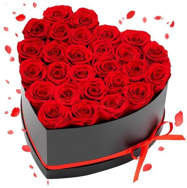 Main image of VEVOR Forever Flowers, 27 Preserved Roses in a Heart Shape Box, Eternal Flowers Immortal Bouquet Birthday Present for Delivery Prime Women Her Wife Mothers, Anniversary, Valentine's Day,Christmas, Red