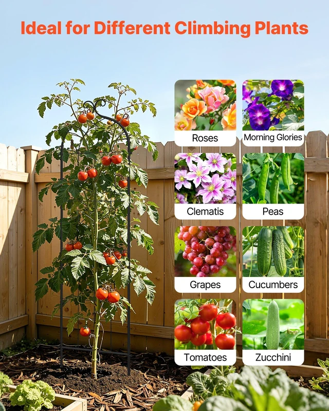 Alt view image 5 of 8 - VEVOR Garden Trellis, 60 x 15 inch Rose Trellis, 4 Packs Garden Flower Rose Trellises with Powder-Coated Finish & Convenient Locking Design, Plant Support Trellises for Flowers, Vegetables, Roses