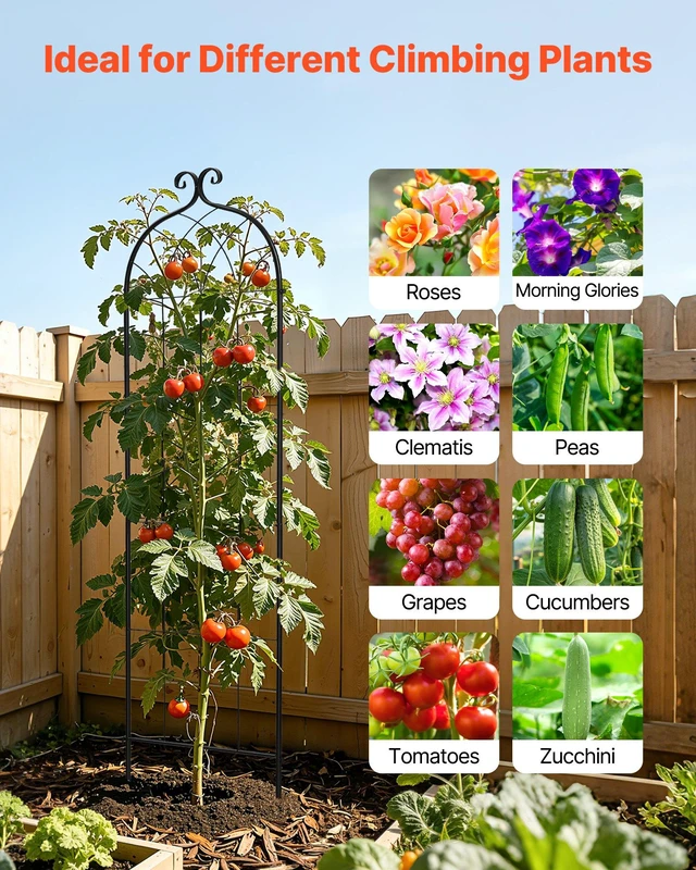Alt view image 5 of 8 - VEVOR Garden Trellis, 71 x 20 inch Rose Trellis, 2 Packs Garden Flower Rose Trellises with Powder-Coated Finish & Convenient Locking Design, Plant Support Trellises for Flowers, Vegetables, Roses