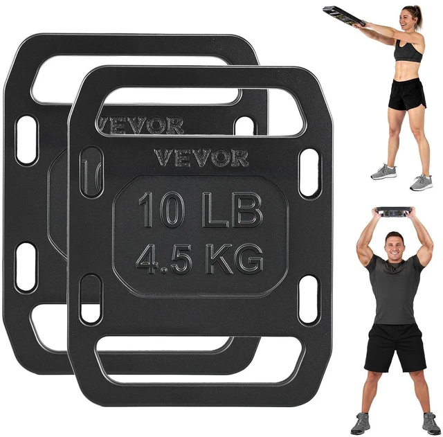 Main image of VEVOR Cast Iron Ruck Weights for Backpack, 10LB Pair Ruck Plate, Weight Plate with Smooth Handle, Textured Finish for Rucking, Hiking, Swings, Strength Training, Weightlifting, Fitness Workout
