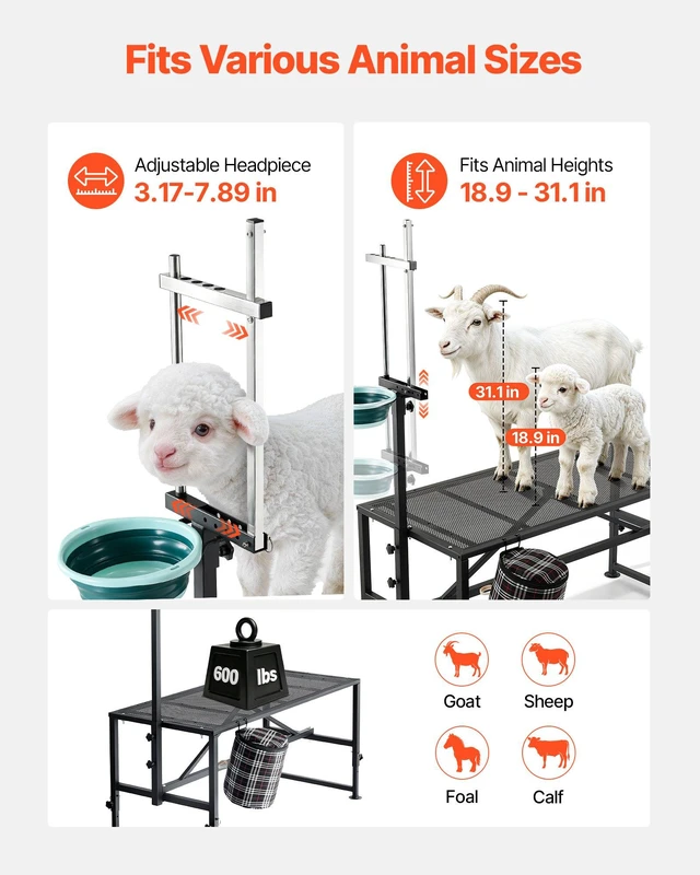Alt view image 3 of 8 - VEVOR Goat Milking Stand, 600 lbs Heavy Duty Goat Stand with Feed Bin, Adjustable Headpiece & Tool Basket, Stanchion for Grooming & Hoof Trimming, Metal Livestock Platform for Sheep, 51" x 23", Black