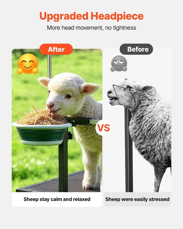 Alt view image 2 of 8 - VEVOR Goat Milking Stand, 600 lbs Heavy Duty Goat Stand with Feed Bin, Adjustable Headpiece & Tool Basket, Stanchion for Grooming & Hoof Trimming, Metal Livestock Platform for Sheep, 47" x 23", Black